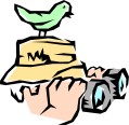 birdwatching-04